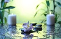 Spa still life Royalty Free Stock Photo