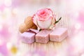 Spa still life with aromatic soap Royalty Free Stock Photo