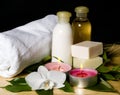 Spa still life with bath things Royalty Free Stock Photo