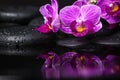 Spa still life of beautiful branches stripped lilac orchid Royalty Free Stock Photo