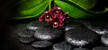 Spa still life of beautiful deep purple orchid flower, phalaenopsis and zen stones with drops on black background, closeup