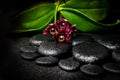 Spa still life of beautiful deep purple orchid flower, phalaenopsis and zen stones with drops on black background, closeup Royalty Free Stock Photo