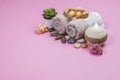 Spa essentials, aroma sticks stones, towels and a plant on a pink background