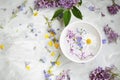 Spa still life with flowers, top view of beauty spa treatments with floral extracts and oils Royalty Free Stock Photo