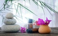 Spa still life with flowers, zen stone and essential oil Royalty Free Stock Photo