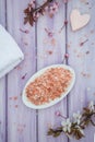 Spa still life with pink salt Royalty Free Stock Photo