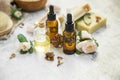 Spa still life with oil bottles, essential oils and plants extracts Royalty Free Stock Photo