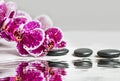 Spa still life with orchid and massage stones, water reflection, tranquil calm spa setting Royalty Free Stock Photo