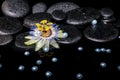 Spa still life of passiflora flower on zen basalt stones with dr Royalty Free Stock Photo