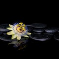 spa still life of passiflora flower on zen stones with reflection in water, closeup Royalty Free Stock Photo