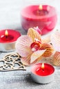 Spa still life with pebbles and red orange orchid Royalty Free Stock Photo