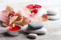 Spa still life with pebbles and red orange orchid Royalty Free Stock Photo