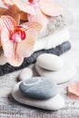 Spa still life with pebbles and red orange orchid Royalty Free Stock Photo