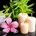 Spa still life of pink hibiscus flower, twig bamboo, thai herbal Royalty Free Stock Photo
