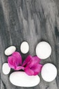 Spa still life with pink orchid and white zen stone Royalty Free Stock Photo