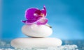 Spa still life with pink orchid and white zen stone in a serenity pool