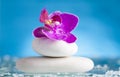 Spa still life with pink orchid and white zen stone in a serenity pool