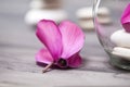 Spa still life with pink orchid, white zen stone and tea candle Royalty Free Stock Photo