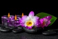 Spa still life of purple orchid dendrobium, green leaf Calla lil Royalty Free Stock Photo
