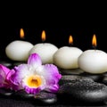 spa still life of purple orchid dendrobium with dew and row white candles on black zen stones, closeup