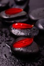 Spa still life, red gerbera petals with black stones Royalty Free Stock Photo