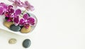 Spa still life setting Royalty Free Stock Photo