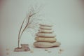 Spa still life with stacked of stone with a beautiful branch Royalty Free Stock Photo