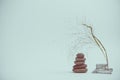 Spa still life with stacked of stone with a beautiful branch Royalty Free Stock Photo