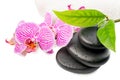 Spa still life with stripped orchid, black stones Royalty Free Stock Photo