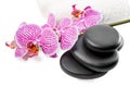 Spa still life with stripped orchid, black stones Royalty Free Stock Photo