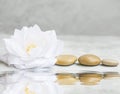 Spa still life with water lily and massage stones Royalty Free Stock Photo