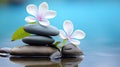 Spa still life with water lily and zen stone in serenity pool