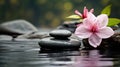 Spa still life with water lily and zen stone in serenity pool