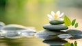 Spa still life with water lily and zen stone in serenity pool