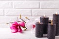 Spa still life  wellness  layout Royalty Free Stock Photo