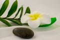 Spa still life on white background, relaxation and spa concept. Green leaves and black wet stones. Royalty Free Stock Photo