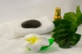 Spa still life on white background, relaxation and spa concept. Green leaves and black wet stones. Royalty Free Stock Photo