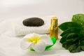 Spa still life on white background, relaxation and spa concept. Green leaves and black wet stones. Royalty Free Stock Photo