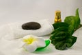 Spa still life on white background, relaxation and spa concept. Green leaves and black wet stones. Royalty Free Stock Photo