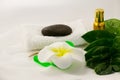 Spa still life on white background, relaxation and spa concept. Green leaves and black wet stones. Royalty Free Stock Photo