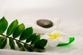 Spa still life on white background, relaxation and spa concept. Green leaves and black wet stones. Royalty Free Stock Photo