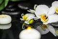 spa still life of white orchid , candles and black zen stones with drops on water with reflection Royalty Free Stock Photo