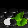 Spa still life of Yin-Yang stone texture and green leaf Calla li Royalty Free Stock Photo