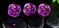 Spa still life of zen basalt stones with beads, drops, lilac can Royalty Free Stock Photo