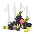 Spa stone vector zen stony therapy for beauty health and relaxation illustration backdrop of natural stoning relax