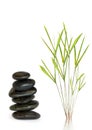 Spa Stones and Bamboo Leaf Grass Royalty Free Stock Photo