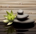 Spa stones, bamboo and lily 2 Royalty Free Stock Photo