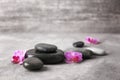 Spa stones and beautiful flowers on grey textured background Royalty Free Stock Photo