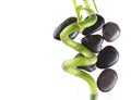 Spa stones and beautiful green bamboo isolated on white Royalty Free Stock Photo