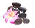 Spa stones and beautiful hot pink orchid flower isolated Royalty Free Stock Photo